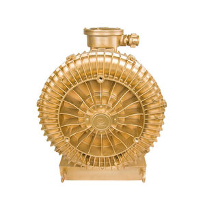 Souffleurs à canal latéral et pompes à vide antidéflagrantes approuvées <span class=keywords><strong>ATEX</strong></span> avec conversion de fréquence - Product Image 4