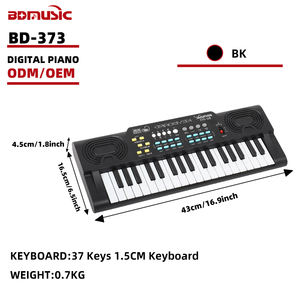 Clavier d'orgue électrique portable BD MUSIC BD-373 ABS, 37 touches, joue de la musique, piano électronique jouet pour enfants - Product Image 1