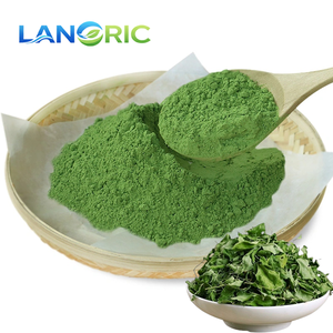 100% чистый порошок моринги (<span class=keywords><strong>Moringa</strong></span> Oleifera), натуральный экстракт листьев моринги, 99% порошок из листьев моринги - Product Image 1