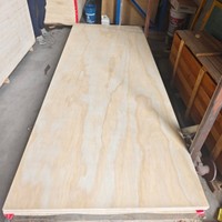 Contrachapado de pino 4x8 18mm Contrachapado comercial Paneles ligeros ecológicos para muebles interiores y proyectos de bricolaje