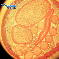 Medical Parasitology Slides Amoeba Prepared Slides Animal Parasitology Slides