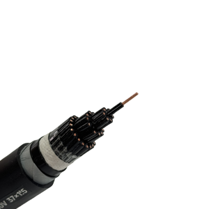 Nhà máy cung cấp 450/750kv 37x1.5 Cáp điều khiển WDZC-KYJY23 để thiết bị đo đạc xlpe cách nhiệt tiêu chuẩn quốc gia - Product Image 2
