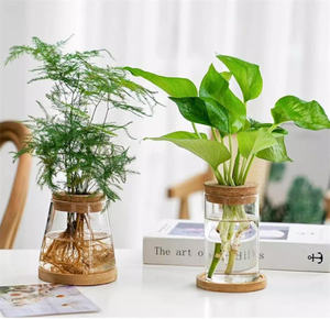 Glass <strong>Propagation</strong> Stations Terrariums Wooden Lid Bamboo Stand Eco-Friendly Handmade Garden Hydroponic Home Office Desk Plants - Product Image 4