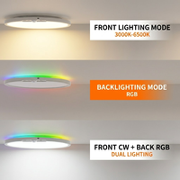 Plafonnier LED sans fil rechargeable 10000 mAh moderne pour placard, couloir, chambre avec détecteur de mouvement sans fil intégré