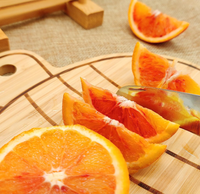 Nouveaux produits : Mini planche à découper en bois de fruits, petit ensemble de planches à découper en bambou, plateau à fromage en forme d'escargot et d'abeille pour la maison