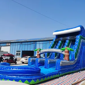 Factory Customized Kids Heavy Duty Waterslides Marble Double Lane Inflatable Palm Tree Water Slide For Adult