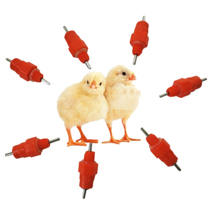 Bebedero automático <span class=keywords><strong>de</strong></span> pezón <span class=keywords><strong>de</strong></span> pollo <span class=keywords><strong>de</strong></span> alta calidad <span class=keywords><strong>de</strong></span> 360 grados, nuevo equipo avícola para una distribución <span class=keywords><strong>de</strong></span> agua confiable - Product Image 5