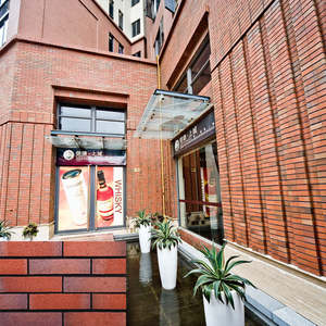 Brique murale extérieure mince chinoise de 240x60x12 mm résistante aux acides, adhésive, moderne, antibactérienne, pour mur extérieur - Product Image 5