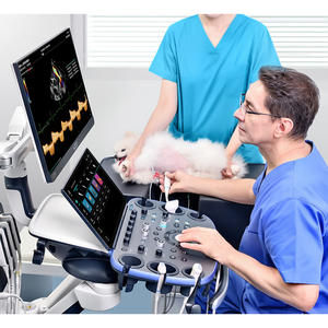 Ecógrafo Veterinario Mindray Vetus 9 al Precio Más Bajo, Máquina de Ultrasonido Portátil Médica, Doppler Color 2D, Escáner de Ecografía Veterinaria - Product Image 5