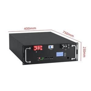 8S 16S Diy Kits 5kwh Lifepo4 Caja de batería 100A BMS para 280Ah 300Ah 320Ah Lifepo4 Akku DIY BMS Caja de batería - Product Image 2