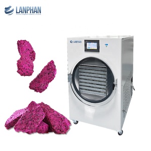 45kg-50kg lyophilisent la machine lyophilisée de poudre de traitement de fruits - Product Image 2