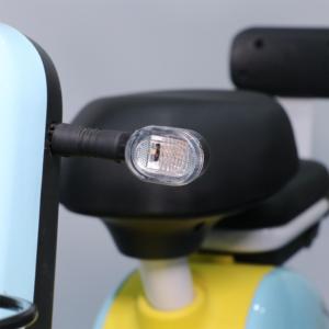 Bicicleta Eléctrica Lanqi de Dos Ruedas para Adultos, 450w, en Oferta, Diseñada Meticulosamente - Product Image 2