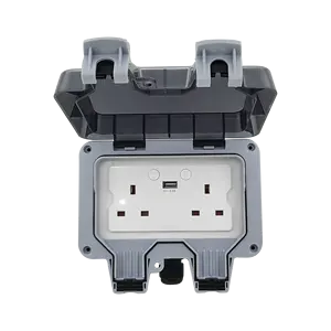 2020 Beste Steckdose Smart 13A WiFi Twin Wall Socket mit USB-Anschluss