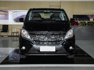 Auto a Benzina Lingzhi Plus 2027 2.0L Modello Base 7 Posti MPV di Medie-Grandi Dimensioni 5 Porte per Trasporto Aziendale - Product Image 3