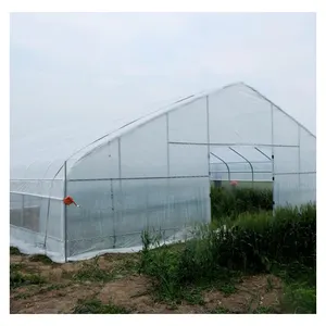 Good Quality And Easily Installed Agricultural/Commercial Green House Greenhouse