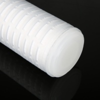 0.2 micron 10 "Pvdf Membrane filtre cartouche Code 0 bougie filtre pour filtration stérile