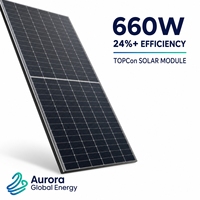 Panneau solaire bifacial 660W, structure double vitrage, module PV, gain de puissance amélioré pour station solaire agrivoltaïque |