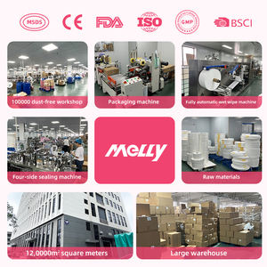 Lingettes humides intimes jetables de taille de voyage Lingettes d'hygiène individuelles féminines pour l'équilibre du pH Contrôle des odeurs pour les femmes - Product Image 6