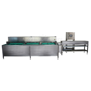 เครื่องคัดแยกไข่อัตโนมัติเครื่องคัดแยกไข่ - Product Image 2