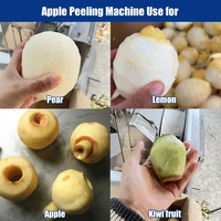 Automatisering Oranje Appelschilmachine Industriële Elektrische Appelschiller Buitsnijmachine Appelschil Snijmachine