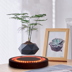 Maceta Geométrica Flotante con Levitación Magnética, Decoración de Escritorio para el Hogar y la Oficina, Diseño Interior Minimalista - Product Image 4
