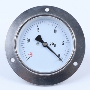 Manomètre à diaphragme en acier inoxydable YE-100ZT, caractéristique sismique, manomètre personnalisable - Product Image 3
