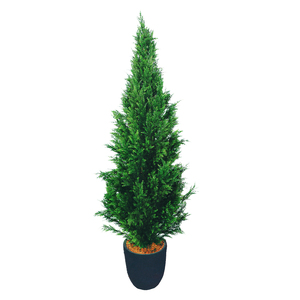 Proveedor de plantas artificiales, árbol de Navidad falso, ciprés <span class=keywords><strong>italiano</strong></span> de imitación, ciprés artificial para Decoración - Product Image 3