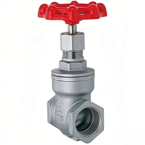 Válvula de Compuerta Roscada de Acero Inoxidable con Roscas Internas, para Suministro y Drenaje de Agua en Tuberías Industriales, Manual de Apertura y Cierre - Product Image 1