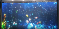Écran holographique invisible Tech Muxwave pour spectacle