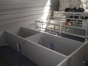 Jaulas para Cerdas de Hierro Fundido con Patas Altas de Acero, 1800 2400 - Product Image 3