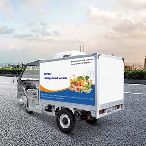 <span class=keywords><strong>Bici</strong></span> Cargo elettrica <span class=keywords><strong>a</strong></span> <span class=keywords><strong>tre</strong></span> <span class=keywords><strong>ruote</strong></span> con cabina congelata sistema di raffreddamento per la consegna del ghiaccio tutto in un triciclo più fresco - Product Image 5