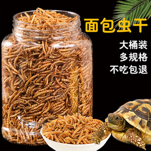 <b>Dried</b> <b>Mealworms</b> For Turtles Large Jar Multi Size Reusable Feeding Tongs - Product Image 1