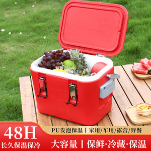 Cooler Box 20L Insulated Stainless Steel Inner Food Storage Outdoor Use - Product Image 5