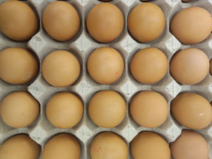 Séchoir tunnel à micro-ondes de haute qualité pour fruits, légumes et herbes, avec prix d'usine - Product Image 5