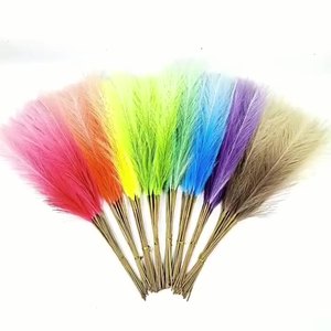 Gran oferta, fiesta de boda al aire libre, flor seca decorativa para el hogar, rampa de gradiente primaria, hierba de Pampa de 55cm - Product Image 2