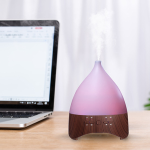 2021New Arrival 300Ml Bé Làm Mịn Âm Thanh Home Humidifier Tiếng Ồn Trắng Hạt Gỗ Siêu Âm Aroma Diffuser