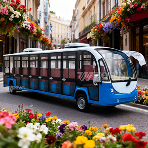 Bus électrique touristique pour zones panoramiques et navettes aéroportuaires, moteur AC 11KW, batterie 72V 200AH - Product Image 6