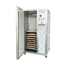Batch-type fruit- en groentedroger voor aubergine, groene peper, okra, banaan en meer.