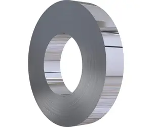 Giá thấp nhất Chất lượng cao Nickel mumetal hợp kim ni80mo5 permalloy 80 Strips