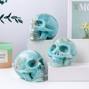 Crânes en cristal d'amazonite naturel sculptés, <span class=keywords><strong>bleu</strong></span> ciel, pour la décoration, vente en gros - Product Image 5