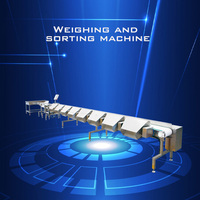 Ligne de tri automatique pour poulet et poisson, machine de tri par poids, acier inoxydable 304, haute efficacité, grande capacité
