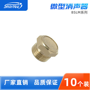 ตัวเก็บเสียงลม Xingyi Technology รุ่น BSLM M5 01 02 03 04 06 10 วาล์วลดเสียงทองแดง อุปกรณ์เสริม - Product Image 3