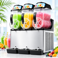 Machine à Granita Commerciale à 2 Réservoirs, Machine à Boissons Glacées en Acier Inoxydable pour Café et Bar