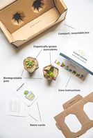 Carton en papier personnalisé boîte d'expédition d'emballage de plantes vivantes carton ondulé en papier kraft boîte d'expédition en pot pour plantes