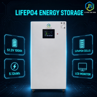 Batterie LiFePO4 5,12 kWh 51,2 V 100 Ah pour système d'alimentation de secours solaire domestique