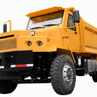 Truk Tambang Bawah Tanah 20t untuk Pengangkutan Batu dengan Komponen Inti Yuchai YCK08330-T400 Garansi 3 Bulan Asal Shandong