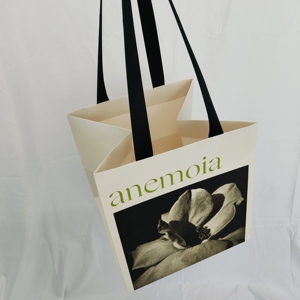 Sac cadeau en papier d'art personnalisé professionnel pour chaussures, vêtements, bijoux, emballage d'achats recyclés - Product Image 2