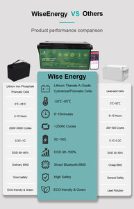 Batería de Litio Titanato de Alta Potencia Personalizada LTO 5S2P de 12V 40Ah para Barco - Product Image 3