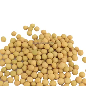 Bulk Customized Package Organic Dried High Protein NON GMO Small Size Sprouting Yellow Soy Bean