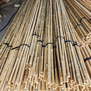 Small Treated <b>Bamboo</b> Supports for Garden Management Eco-Friendly <b>Bamboo</b> Raw Materials Product - Product Image 3